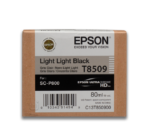 Tinta Epson T850900 Light Light Black 80ML SC-P800